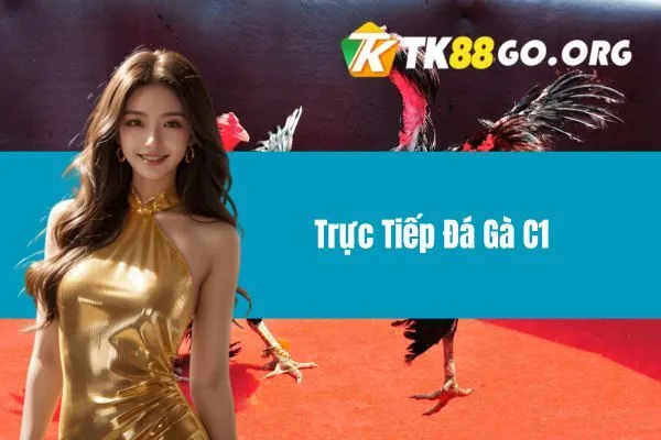 Trực Tiếp Đá Gà C1