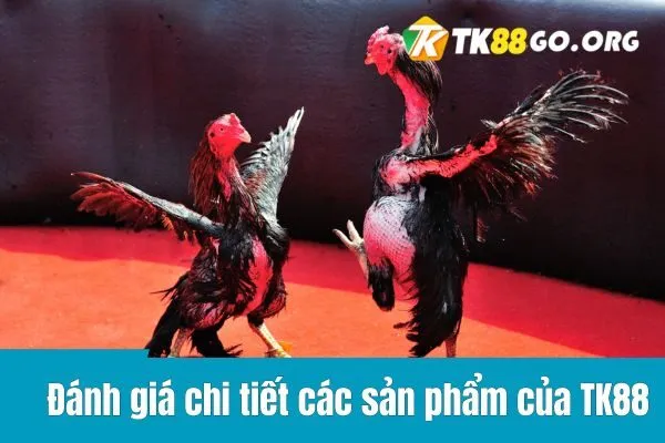 Trực Tiếp Đá Gà C1