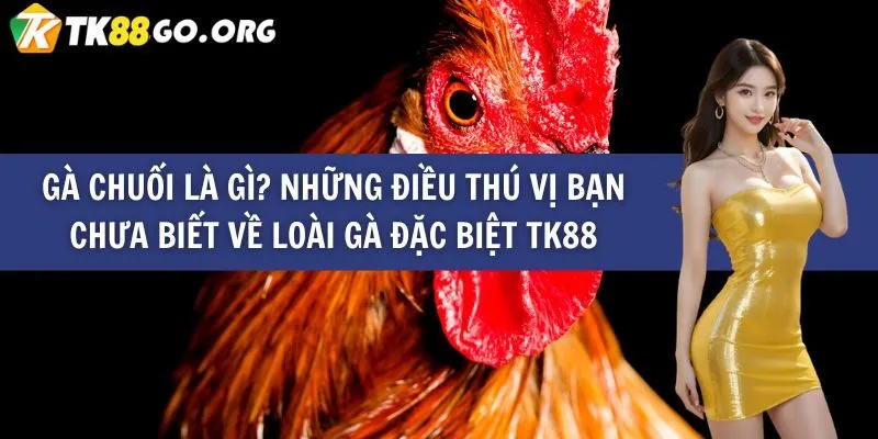 Gà Chuối Là Gì? Những Điều Thú Vị Bạn Chưa Biết Về Loài Gà Đặc Biệt TK88